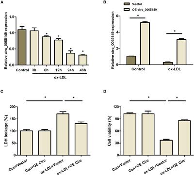 Circ_0065149 Alleviates Oxidized Low-Density Lipoprotein-Induced Apoptosis and Inflammation in Atherosclerosis by Targeting miR-330-5p